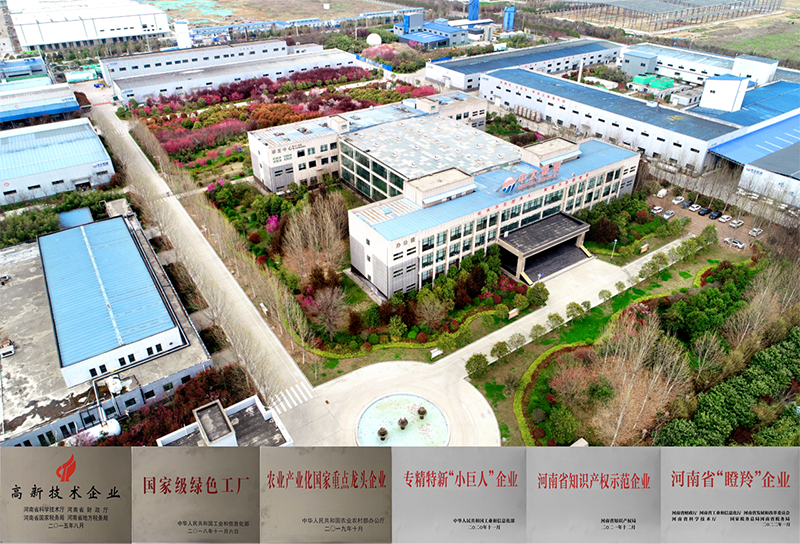 开云网页版页面登入界面资质证书.png